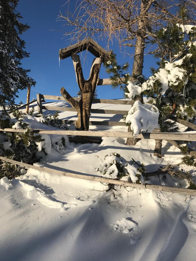 Haus Gohringer / Ferienwohnungen Hermagor-Pressegger See Eksteriør bilde